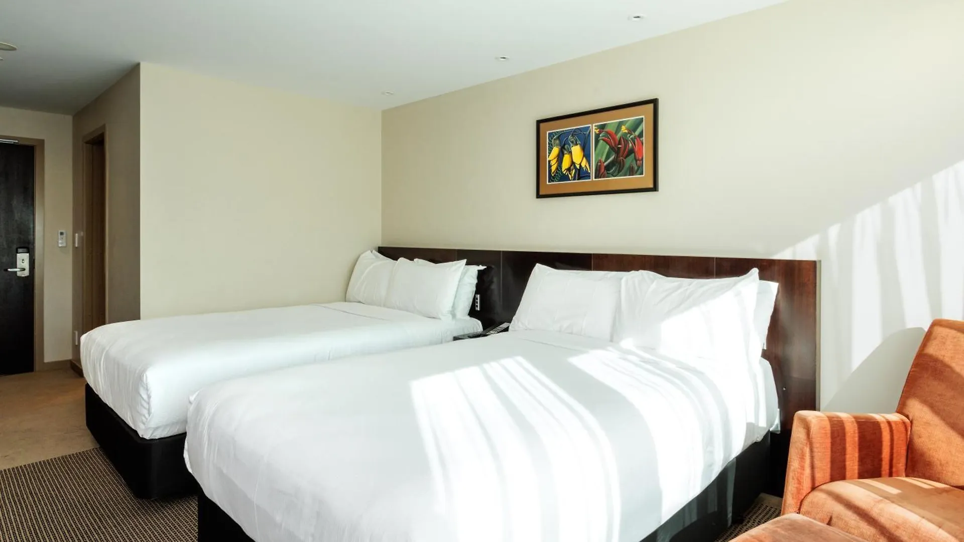 ****  Copthorne Hotel Wellington, Oriental Bay New Zealand